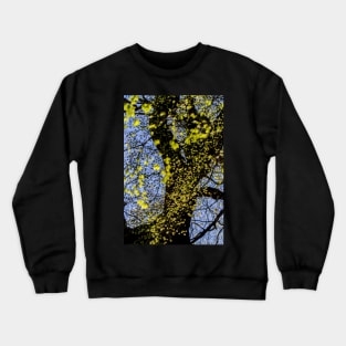 Sunlit Beech Leaves Crewneck Sweatshirt